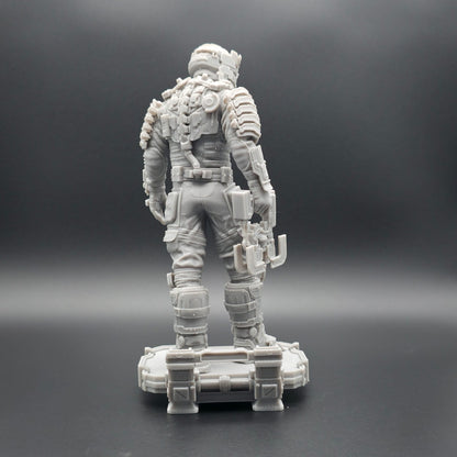 The steel Sentinel