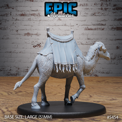Camel