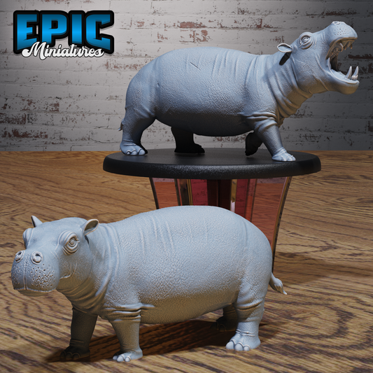 Hippo