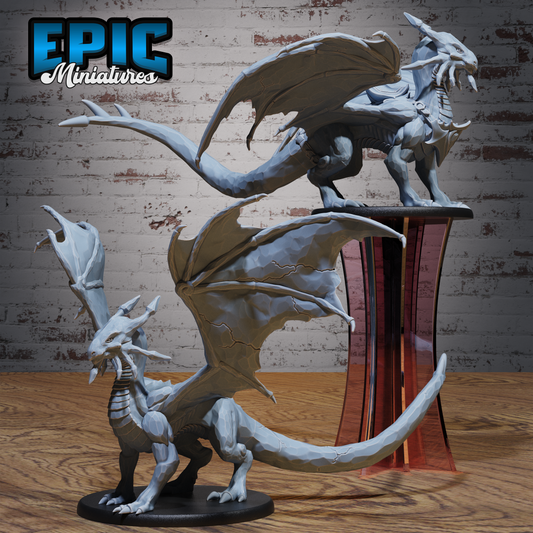 Sapphire Dragon Young