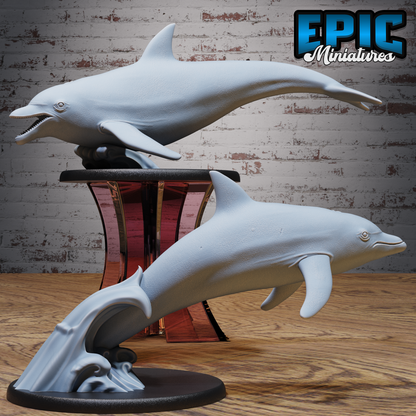 Dolphin