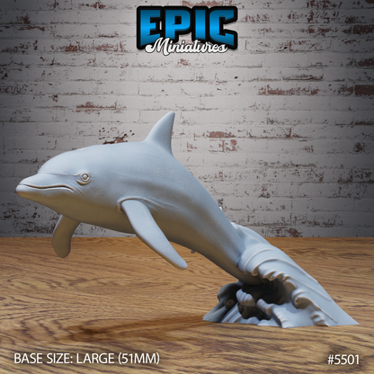 Dolphin