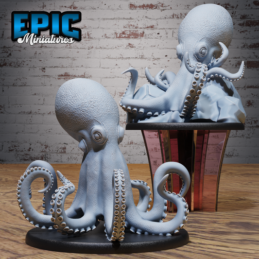 Giant Octopus