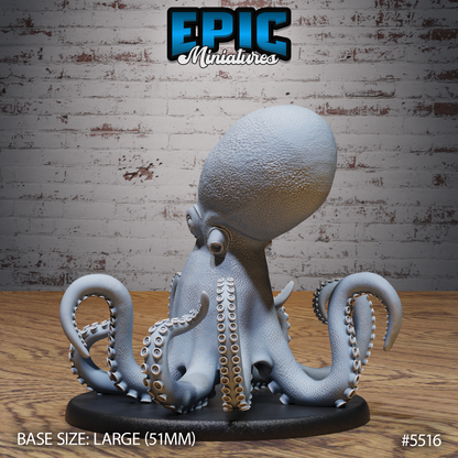 Giant Octopus