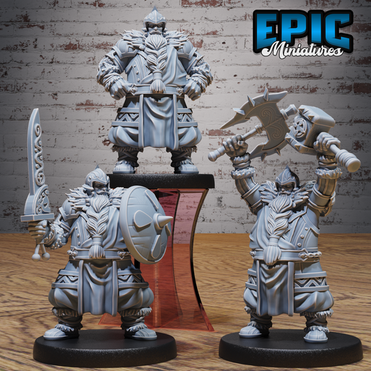 Dwarf Fighter