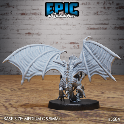 Silver Dragon Wyrmling