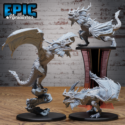 Angry Wyvern
