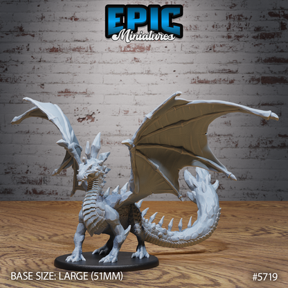 Amethyst Dragon Young