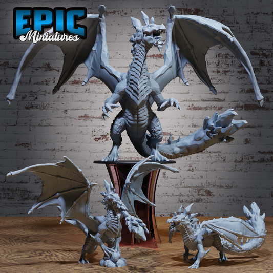 Amethyst Dragon Adult
