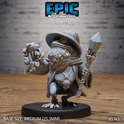 Frog Wizard